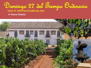Domingo 27 del Tiempo Ordinario 
CICLO “A”. DIA 5 DE OCTUBRE DEL 2014 
El Toboso (Toledo) 
 