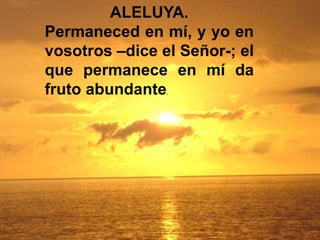 ALELUYA. 
Permaneced en mí, y yo en 
vosotros –dice el Señor-; el 
que permanece en mí da 
fruto abundante. 
 