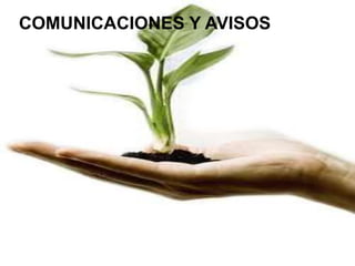 COMUNICACIONES Y AVISOS 
 