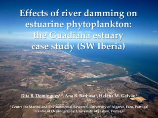 Effects of river damming on
estuarine phytoplankton:
the Guadiana estuary
case study (SW Iberia)
Rita B. Domingues1,2, Ana B. Barbosa1, Helena M. Galvão1
1 Centre for Marine and Environmental Research, University of Algarve, Faro, Portugal
2 Centre of Oceanography, University of Lisbon, Portugal
 