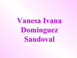 Vanesa Ivana Dominguez Sandoval 