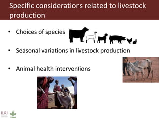 Harnessing the potential of livestock to improve nutrition of vulnerable populations: Technical guidance for program planning