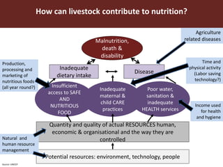 Harnessing the potential of livestock to improve nutrition of vulnerable populations: Technical guidance for program planning