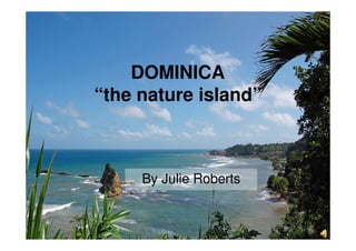 DOMINICA
“the nature island”



     By Julie Roberts
 