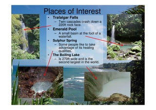 Places of Interest
 • Trafalgar Falls
      – Twin cascades crash down a
        220ft rock face.
 • Emerald Pool
      – A small basin at the foot of a
        waterfall.
 •   Sulphur Spring
      – Some people like to take
        advantage of its healing
        qualities.
 •   The Boiling Lake
      – Is 270ft wide and is the
        second largest in the world.
 