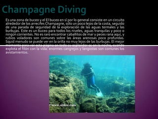 Es una zona de buceo y el El buceo en sí por lo general consiste en un circuito
alrededor de los arrecifes Champagne, sólo un poco lejos de la costa, seguido
de una parada de seguridad de la exploración de las aguas termales y las
burbujas. Este es un buceo para todos los niveles, aguas tranquilas y poco o
ningún corrientes. No es raro encontrar caballitos de mar y peces rana aquí, y
rubios voladores son comunes sobre las áreas arenosas poco profundas.
Squid menudo se puede ver en la orilla no muy lejos de las burbujas. El mejor
momento para ver esta página en todo su esplendor es en la noche, cuando
explota el filón con la vida: enormes cangrejos y langostas son comunes los
avistamientos.
 