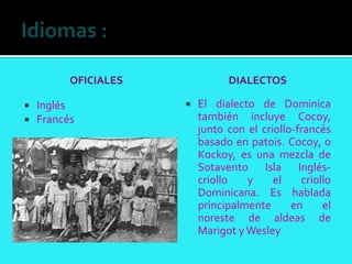 OFICIALES             DIALECTOS

   Inglés               El dialecto de Dominica
   Francés               también incluye Cocoy,
                          junto con el criollo-francés
                          basado en patois. Cocoy, o
                          Kockoy, es una mezcla de
                          Sotavento Isla Inglés-
                          criollo   y     el    criollo
                          Dominicana. Es hablada
                          principalmente      en     el
                          noreste de aldeas de
                          Marigot y Wesley
 