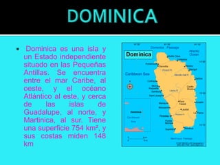     Dominica es una isla y
    un Estado independiente
    situado en las Pequeñas
    Antillas. Se encuentra
    entre el mar Caribe, al
    oeste, y el océano
    Atlántico al este, y cerca
    de      las    islas    de
    Guadalupe, al norte, y
    Martinica, al sur. Tiene
    una superficie 754 km², y
    sus costas miden 148
    km
 