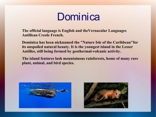 Dominica
The official language is English and theVernacular Languages
Antillean Creole French.
Dominica has been nicknamed the "Nature Isle of the Caribbean"for
its unspoiled natural beauty. It is the youngest island in the Lesser
Antilles, still being formed by geothermal-volcanic activity.
The island features lush mountainous rainforests, home of many rare
plant, animal, and bird species.

 