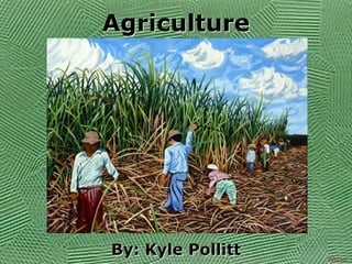 Agriculture




By: Kyle Pollitt   Jhltd.net
 