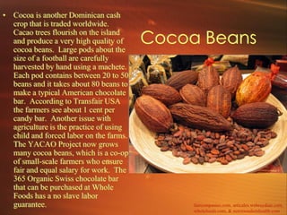 • Cocoa is another Dominican cash
  crop that is traded worldwide.
  Cacao trees flourish on the island
  and produce a very high quality of
  cocoa beans. Large pods about the
                                         Cocoa Beans
  size of a football are carefully
  harvested by hand using a machete.
  Each pod contains between 20 to 50
  beans and it takes about 80 beans to
  make a typical American chocolate
  bar. According to Transfair USA
  the farmers see about 1 cent per
  candy bar. Another issue with
  agriculture is the practice of using
  child and forced labor on the farms.
  The YACAO Project now grows
  many cocoa beans, which is a co-op
  of small-scale farmers who ensure
  fair and equal salary for work. The
  365 Organic Swiss chocolate bar
  that can be purchased at Whole
  Foods has a no slave labor
  guarantee.                                  faircompanies.com, articales.webraydian.com,
                                              wholefoods.com, & nutritiondietshealth.com
 