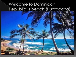 Welcome to Dominican Republic ’s beach (Puntacana) 