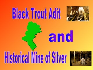 Black Trout Adit and Historical Mine of Silver 