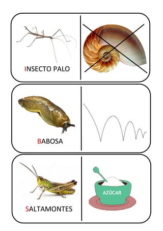 INSECTO PALO
BABOSA
SALTAMONTES
 