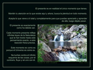 El presente es en realidad el único momento que tienes.

  Mantén tu atención en lo que existe aquí y ahora; busca la plenitud en todo momento.

  Acepta lo que viene a ti total y completamente para que puedas apreciarlo y aprender
                                                           de ello; luego déjalo pasar.

   El presente es exactamente
          como ha debido ser.

Cada momento presente refleja
 infinitas leyes de la Naturaleza
    que te han traído hasta este
     pensamiento exacto, a esta
          reacción física precisa.

    Este momento es como es
porque el Universo es como es.

     No luches contra el infinito
  esquema de las cosas; por el
contrario, fluye y sé uno con él.
 