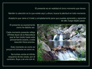 El presente es en realidad el único momento que tienes.
Mantén tu atención en lo que existe aquí y ahora; busca la plenitud en todo momento.
Acepta lo que viene a ti total y completamente para que puedas apreciarlo y aprender
de ello; luego déjalo pasar.
El presente es exactamente
como ha debido ser.
Cada momento presente refleja
infinitas leyes de la Naturaleza
que te han traído hasta este
pensamiento exacto, a esta
reacción física precisa.
Este momento es como es
porque el Universo es como es.
No luches contra el infinito
esquema de las cosas; por el
contrario, fluye y sé uno con él.

 