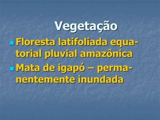 VegetaçãoFloresta latifoliada equa-torial pluvial amazônicaMata de igapó – perma-nentemente inundada