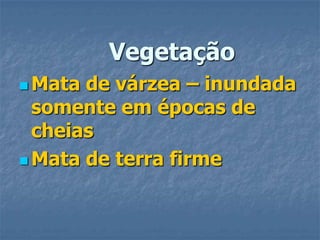 VegetaçãoMata de várzea – inundada somente em épocas de cheiasMata de terra firme