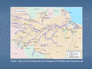 Fonte: http://www.infoescola.com/imagens/cf37500px-Bcamazonica.gif