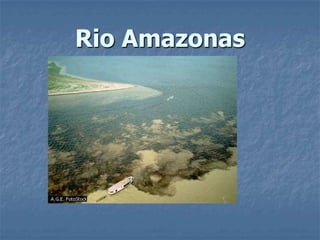 Rio Amazonas