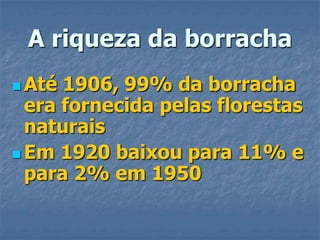 A riqueza da borrachaAté 1906, 99% da borracha era fornecida pelas florestas naturaisEm 1920 baixou para 11% e para 2% em 1950