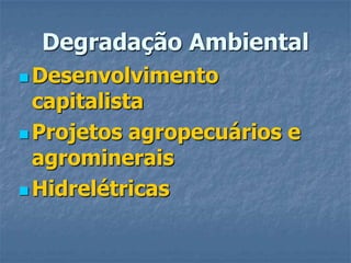 Degradação AmbientalDesenvolvimento capitalistaProjetos agropecuários e agromineraisHidrelétricas