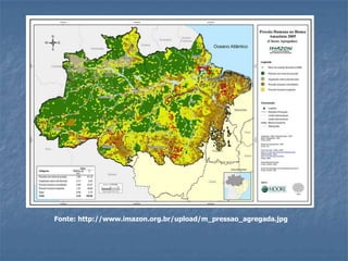 Fonte: http://www.imazon.org.br/upload/m_pressao_agregada.jpg