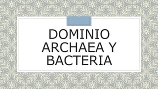 DOMINIO
ARCHAEA Y
BACTERIA
 