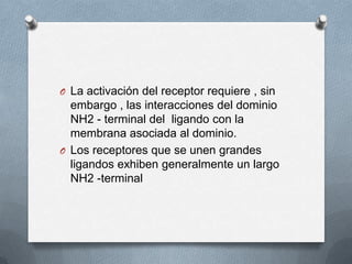 O La activación del receptor requiere , sin

embargo , las interacciones del dominio
NH2 - terminal del ligando con la
membrana asociada al dominio.
O Los receptores que se unen grandes
ligandos exhiben generalmente un largo
NH2 -terminal

 