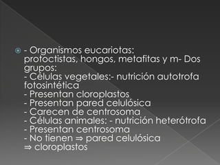    - Organismos eucariotas:
    protoctistas, hongos, metafitas y m- Dos
    grupos:
    - Células vegetales:- nutrición autotrofa
    fotosintética
    - Presentan cloroplastos
    - Presentan pared celulósica
    - Carecen de centrosoma
    - Células animales: - nutrición heterótrofa
    - Presentan centrosoma
    - No tienen ⇒ pared celulósica
    ⇒ cloroplastos
 