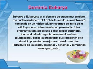 Dominio eukarya | PPSX