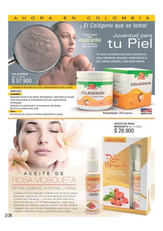 Nuevo Catálogo Dominio