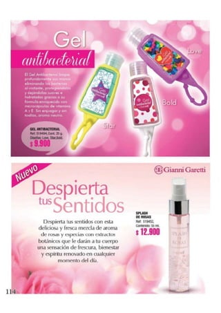 Nuevo Catálogo Dominio