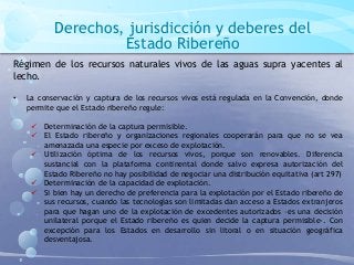 Derechos, jurisdicción y deberes del
Estado Ribereño
Régimen de los recursos naturales vivos de las aguas supra yacentes al
lecho.
• La conservación y captura de los recursos vivos está regulada en la Convención, donde
permite que el Estado ribereño regule:
 Determinación de la captura permisible.
 El Estado ribereño y organizaciones regionales cooperarán para que no se vea
amenazada una especie por exceso de explotación.
 Utilización óptima de los recursos vivos, porque son renovables. Diferencia
sustancial con la plataforma continental donde salvo expresa autorización del
Estado Ribereño no hay posibilidad de negociar una distribución equitativa (art 297)
 Determinación de la capacidad de explotación.
 Si bien hay un derecho de preferencia para la explotación por el Estado ribereño de
sus recursos, cuando las tecnologías son limitadas dan acceso a Estados extranjeros
para que hagan uno de la explotación de excedentes autorizados –es una decisión
unilateral porque el Estado ribereño es quien decide la captura permisible-. Con
excepción para los Estados en desarrollo sin litoral o en situación geográfica
desventajosa.
 