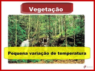 Vegetação
Pequena variação de temperatura
 