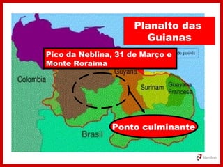 Planalto das
Guianas
Ponto culminante
Pico da Neblina, 31 de Março e
Monte Roraima
 