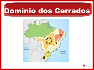 Domínio dos Cerrados
 