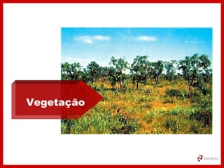 Vegetação
 