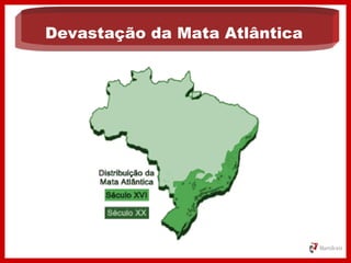 Devastação da Mata Atlântica
 