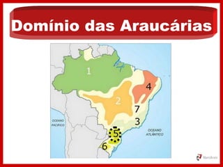 Domínio das Araucárias
 