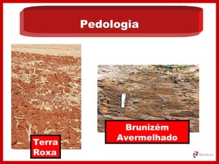 Brunizém
Avermelhado
Terra
Roxa
Pedologia
 