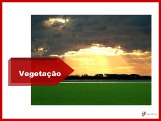 Vegetação
 