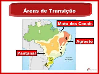 Áreas de Transição
Pantanal
Agreste
Mata dos Cocais
 