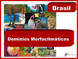 Domínios Morfoclimáticos
Brasil
 