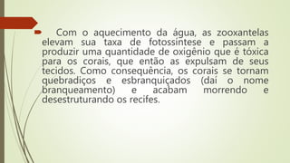  Com o aquecimento da água, as zooxantelas
elevam sua taxa de fotossíntese e passam a
produzir uma quantidade de oxigênio que é tóxica
para os corais, que então as expulsam de seus
tecidos. Como consequência, os corais se tornam
quebradiços e esbranquiçados (daí o nome
branqueamento) e acabam morrendo e
desestruturando os recifes.
 