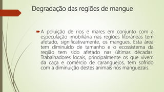 Degradação das regiões de mangue
A poluição de rios e mares em conjunto com a
especulação imobiliária nas regiões litorâneas tem
afetado, significativamente, os mangues. Esta área
tem diminuído de tamanho e o ecossistema da
região tem sido afetado nas últimas décadas.
Trabalhadores locais, principalmente os que vivem
da caça e comércio de caranguejos, tem sofrido
com a diminuição destes animais nos manguezais.
 