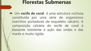 Florestas Submersas
 Um recife de coral é uma estrutura rochosa
constituída por uma série de organismos
marinhos portadores de esqueleto calcário. A
composição calcária do recife de coral é
bastante resistente à ação das ondas e das
marés e muito rígida.
 