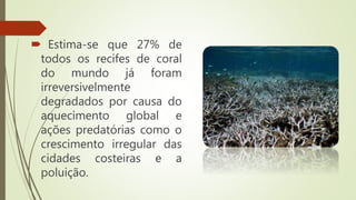  Estima-se que 27% de
todos os recifes de coral
do mundo já foram
irreversivelmente
degradados por causa do
aquecimento global e
ações predatórias como o
crescimento irregular das
cidades costeiras e a
poluição.
 
