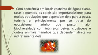  Com ocorrência em locais costeiros de águas claras,
rasas e quentes, os corais são importantíssimos para
muitas populações que dependem dele para a pesca,
turismo e, principalmente por se tratar do
ecossistema marinho que possui maior
biodiversidade com inúmeros peixes, crustáceos e
outros animais marinhos que dependem direta ou
indiretamente dele.
 