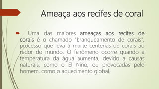 Ameaça aos recifes de coral
 Uma das maiores ameaças aos recifes de
corais é o chamado "branqueamento de corais",
processo que leva à morte centenas de corais ao
redor do mundo. O fenômeno ocorre quando a
temperatura da água aumenta, devido a causas
naturais, como o El Niño, ou provocadas pelo
homem, como o aquecimento global.
 